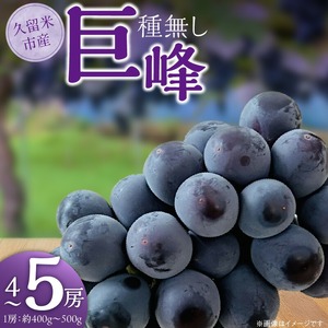 種無し巨峰　4房～5房_種無し 巨峰 1房 約400g?500g 4～5房 約1.6kg 甘い 食べやすい 大粒 ぶどう 果物 フルーツ 果実 農家直送 冷蔵 プレゼント用 贈り物 旬の味覚 お取り寄せグルメ お取り寄せ グルメ 福岡県 久留米市 送料無料 〔Fg016〕