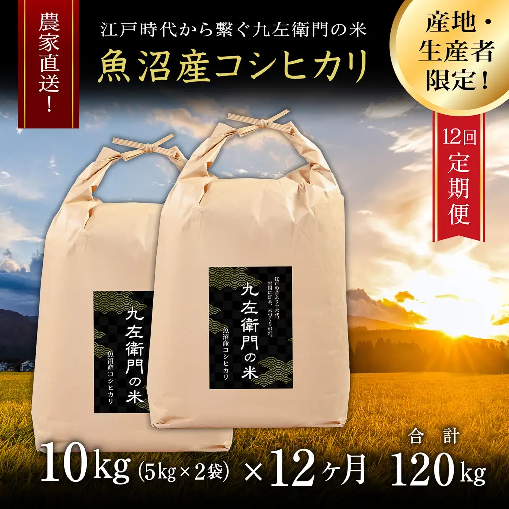 【令和8年産】【12ヶ月定期便】魚沼産コシヒカリ 九左衛門の米 10kg（5kg×2袋） |津南町 魚沼産 コシヒカリ