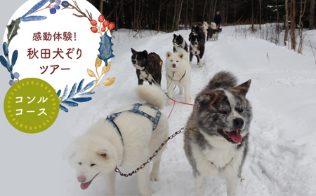 秋田犬の犬ぞりen01-00208