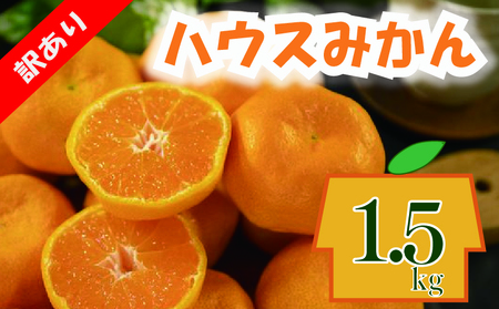 【順次発送中】訳あり ハウスみかん 約1.5kg | みかんみかんみかんみかんみかんみかん【VEG047】