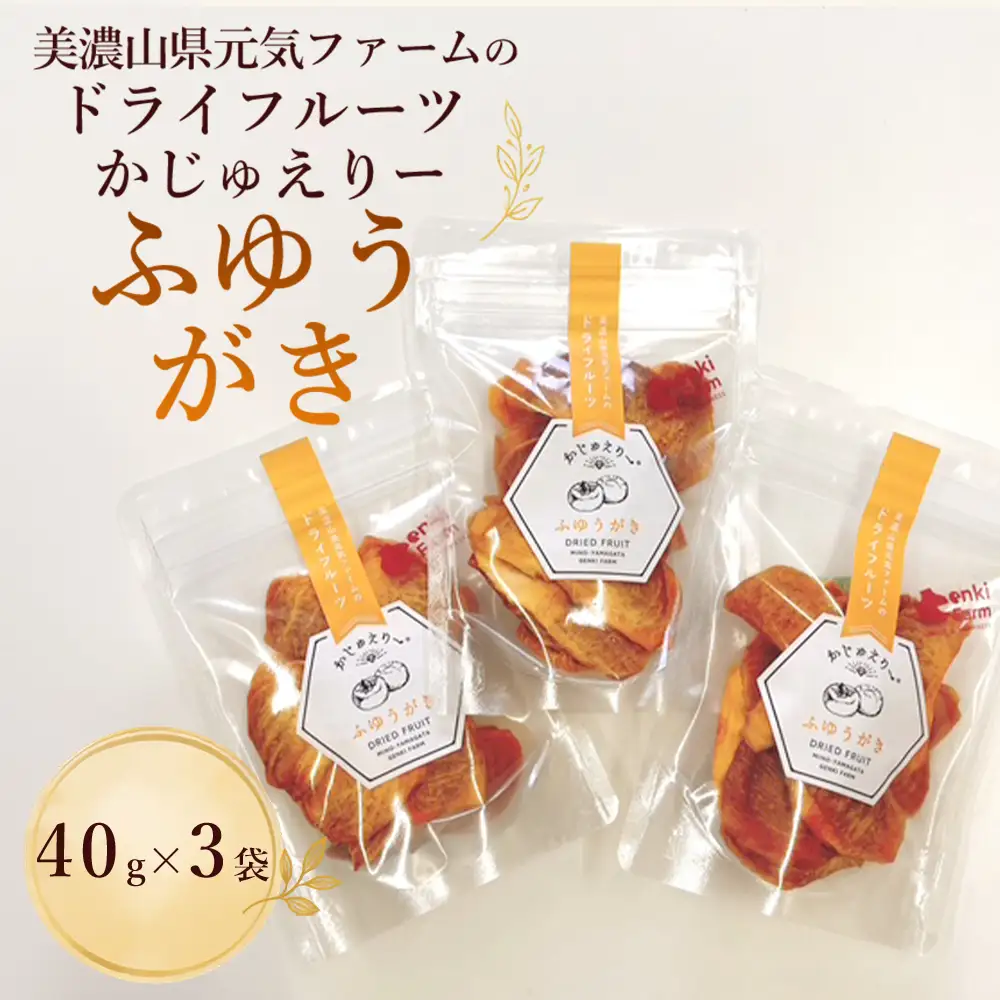 美濃山県元気ファームのドライフルーツかじゅえりー　ふゆうがき [No.1100]