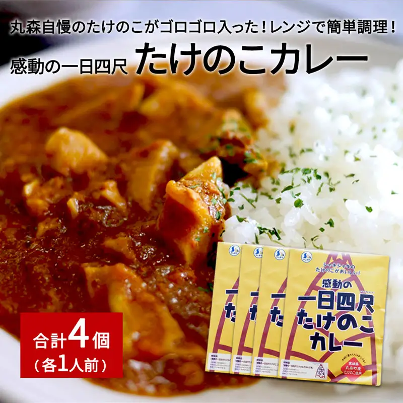 たけのこカレー1人前×4個セット【0802201】
