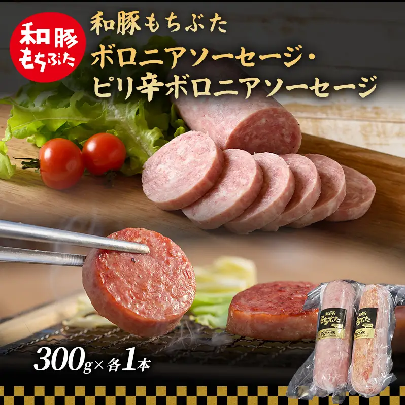 和豚 もちぶた ボロニア ピリ辛ボロニアソーセージセット 各1本 豚肉