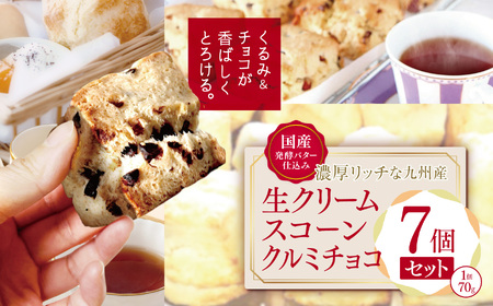 国産発酵バター仕込み濃厚リッチな九州産生クリームスコーン クルミチョコ7個セット | お菓子 菓子 おかし 洋菓子 焼き菓子 イギリス菓子 チョコスコーン クルミ おやつ デザート スイーツ 手作り ティータイム アフタヌーンティー 大分県 中津市 送料無料