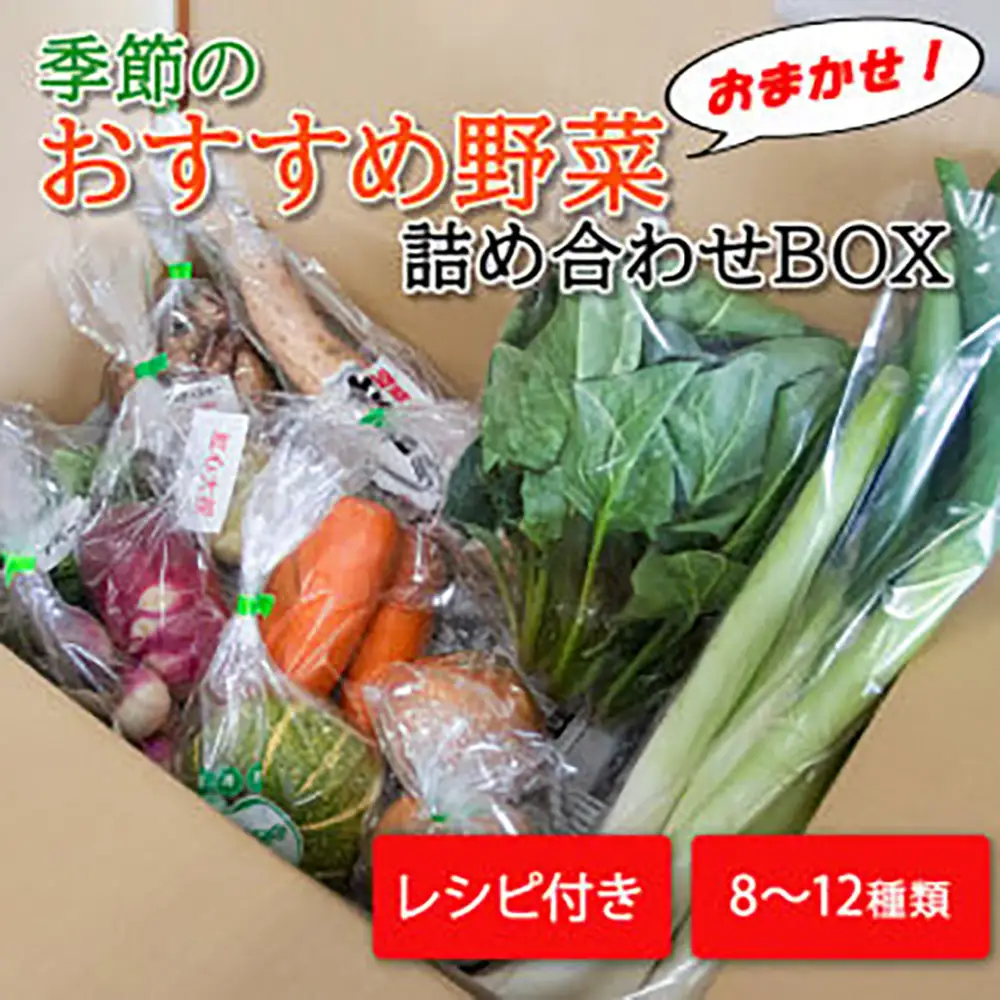 季節のおすすめ野菜おまかせ詰め合わせBOX 8種～12種類 通常サイズ【16101】