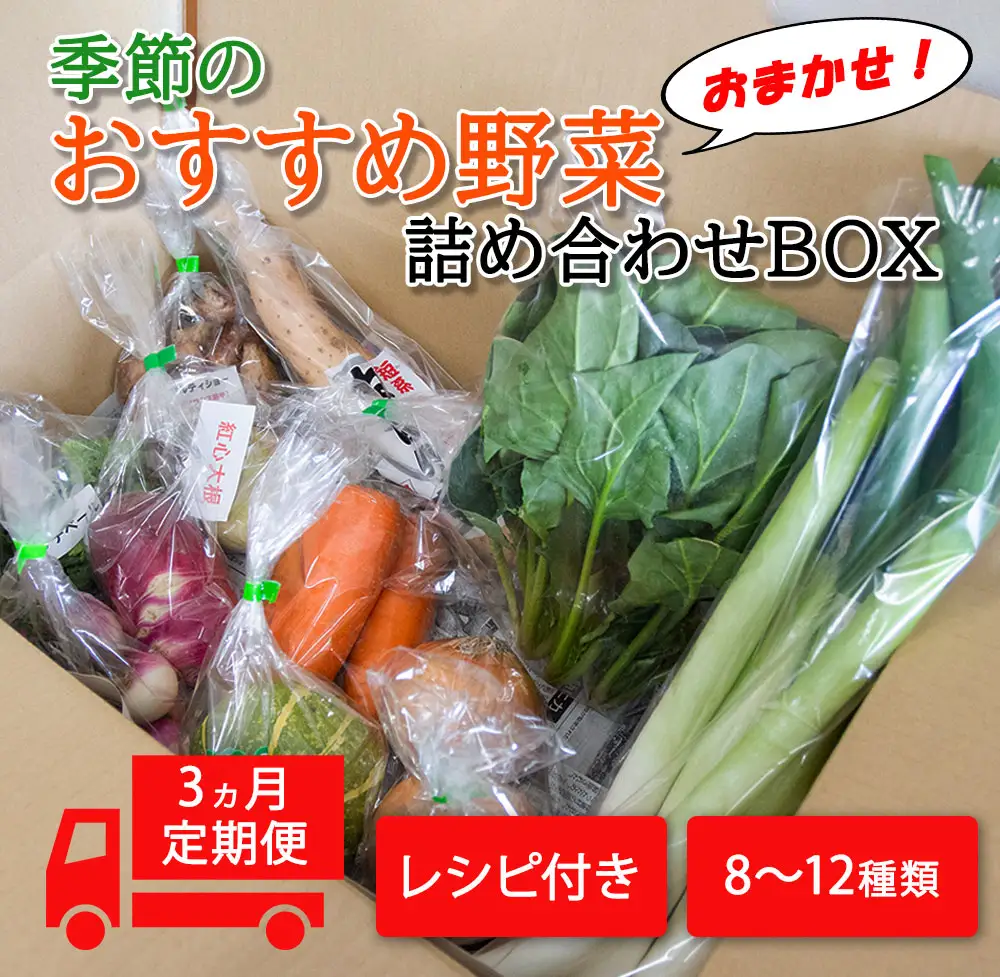 季節のおすすめ野菜おまかせ詰め合わせ3ヵ月定期便 8種～12種類【16103】