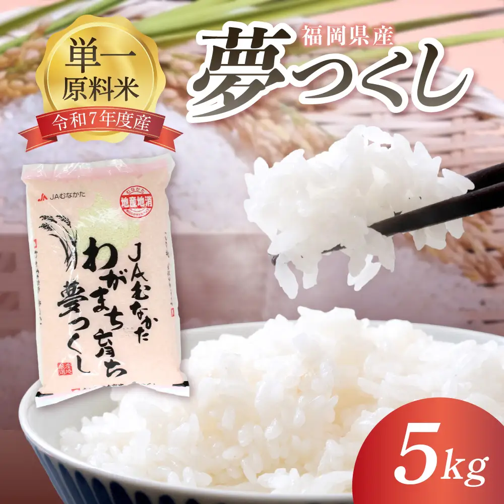 福岡県ブランド米「夢つくし」5kg【ほたるの里】_HA1790
