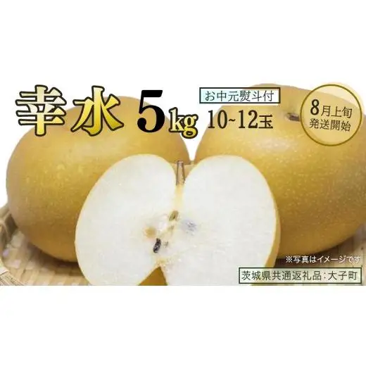 【 お中元 熨斗付き 】 幸水 約5kg (10～12玉)【2026年8月上旬発送開始】(茨城県共通返礼品：大子町)