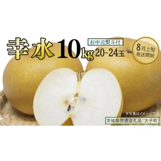 【 お中元 熨斗付き 】 幸水 約10kg (20～24玉)【2026年8月上旬発送開始】(茨城県共通返礼品：大子町)
