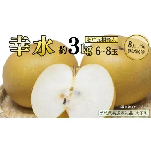【 お中元 桐箱入り 】 幸水 約3kg (6～8玉)【2026年8月上旬発送開始】(茨城県共通返礼品：大子町)