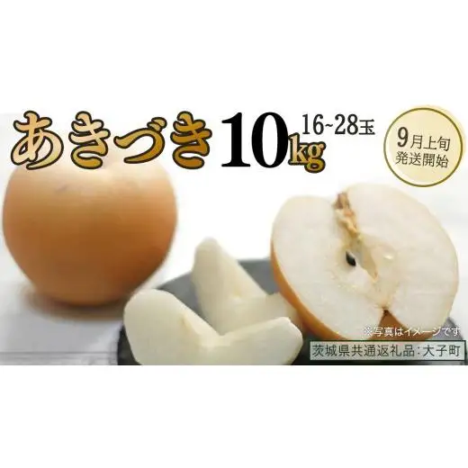 あきづき 約10kg（16～28個）【2026年9月上旬発送開始】(茨城県共通返礼品：大子町)