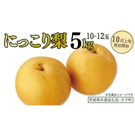 にっこり梨 約5kg (10～12玉)【2026年10月上旬発送開始】(茨城県共通返礼品：大子町)