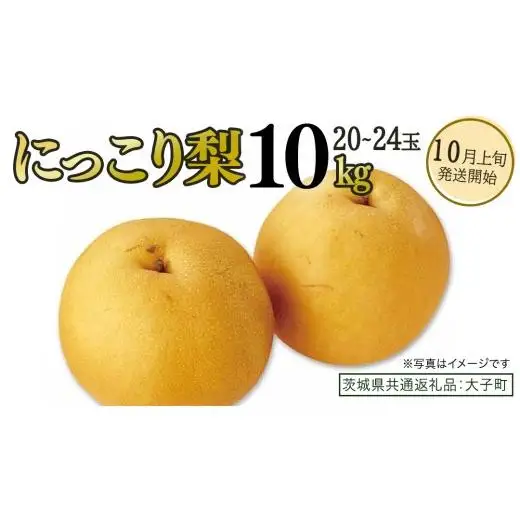 にっこり梨 約10kg (20～24玉)【2026年10月上旬発送開始】(茨城県共通返礼品：大子町)