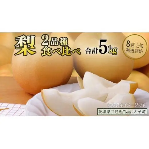 【食べ比べ】 梨 2品種 合計 約5kg 【2026年8月上旬発送開始】 (茨城県共通返礼品：大子町)