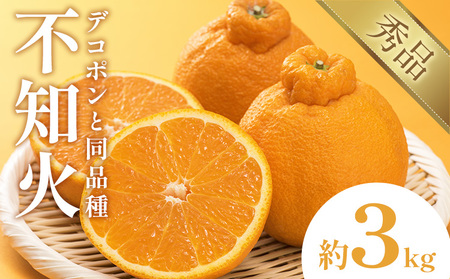 不知火 デコポン 同品種 約3kg 日本フルーツ株式会社 熊本県 荒尾市 《2月上旬-4月上旬頃出荷》 デコポン 果物 秀品 フルーツ スイーツ デザート ギフト ご贈答
