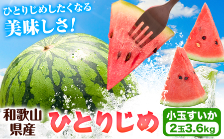 紀州和歌山産 小玉スイカ 「ひとりじめ」 2玉 