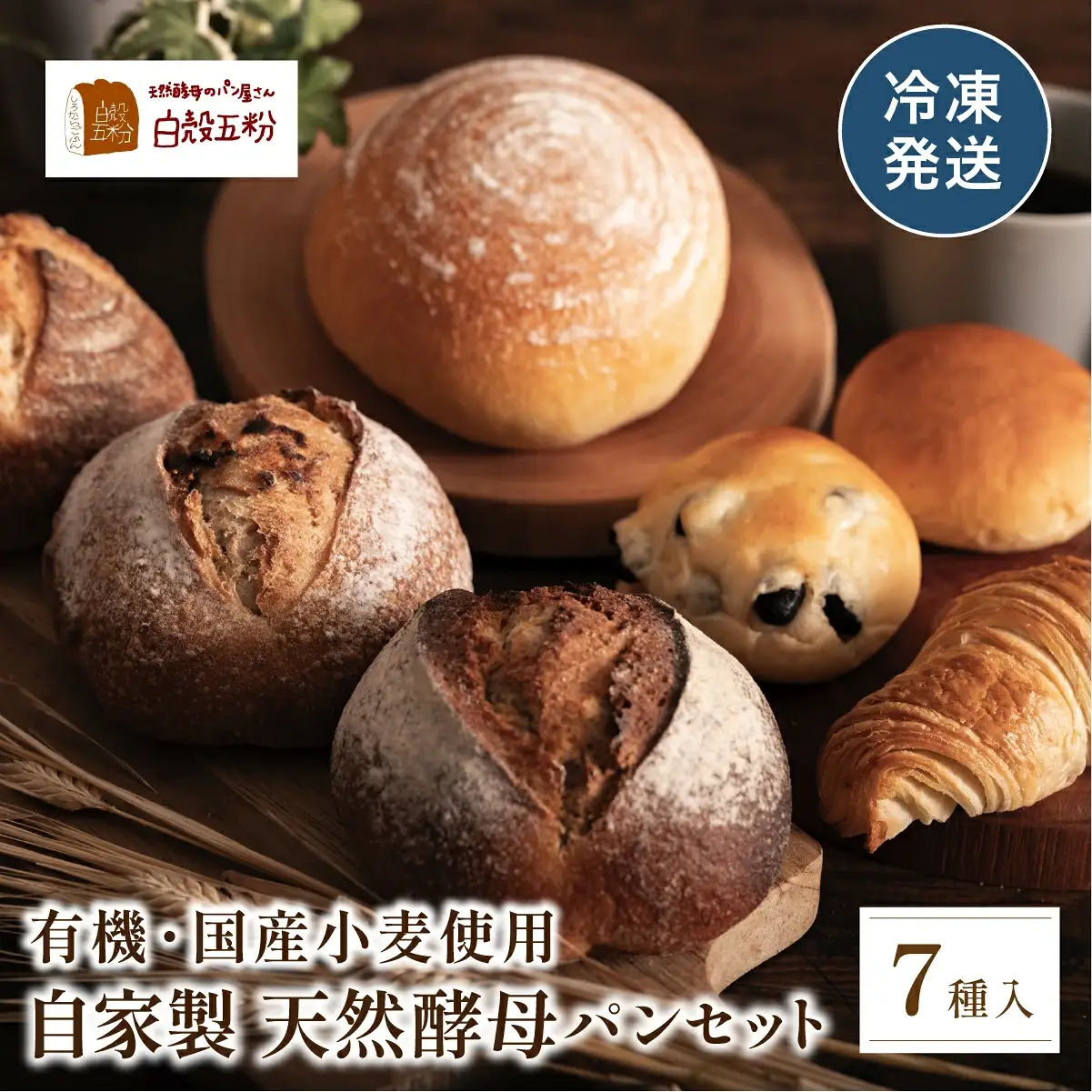 天然酵母パン 7種入り パン 天然酵母パン  CT01-25