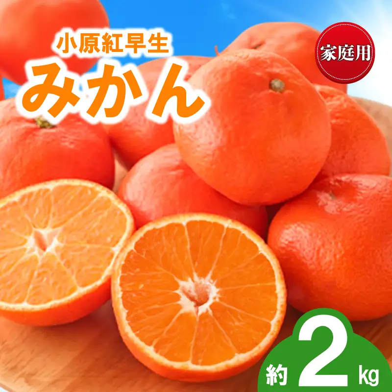 先行予約 訳あり みかん 蜜柑 約2kg 小原紅早生 小原紅早生みかん 柑橘 オレンジ 家庭用 11月下旬～12月下旬 配送 香川県 丸亀市