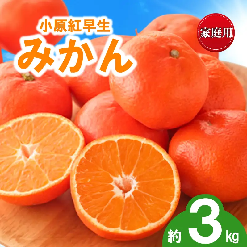 先行予約 訳あり みかん 蜜柑 約3kg 小原紅早生 小原紅早生みかん 柑橘 オレンジ 家庭用 11月下旬～12月下旬 配送 香川県 丸亀市