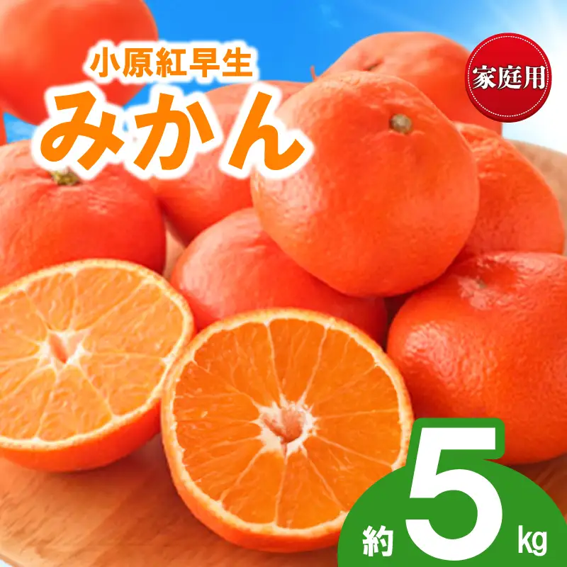 先行予約 訳あり みかん 蜜柑 約5kg 小原紅早生 小原紅早生みかん 柑橘 オレンジ 家庭用 11月下旬～12月下旬 配送 香川県 丸亀市