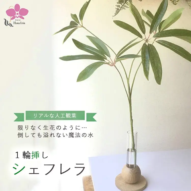 倒してもこぼれないお水 癒しのグリーン「シェフレラ1輪挿し」光触媒｜観葉アレンジシュフレラ