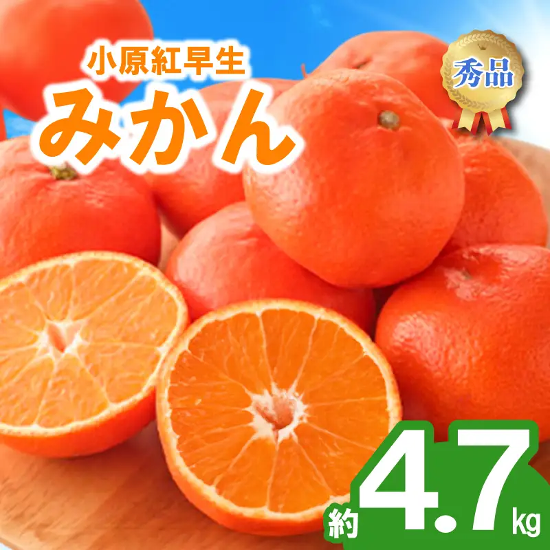 先行予約 みかん 蜜柑 約4.7kg 小原紅早生 小原紅早生みかん 柑橘 オレンジ 11月下旬～12月下旬 配送 選べる 容量 香川県 丸亀市