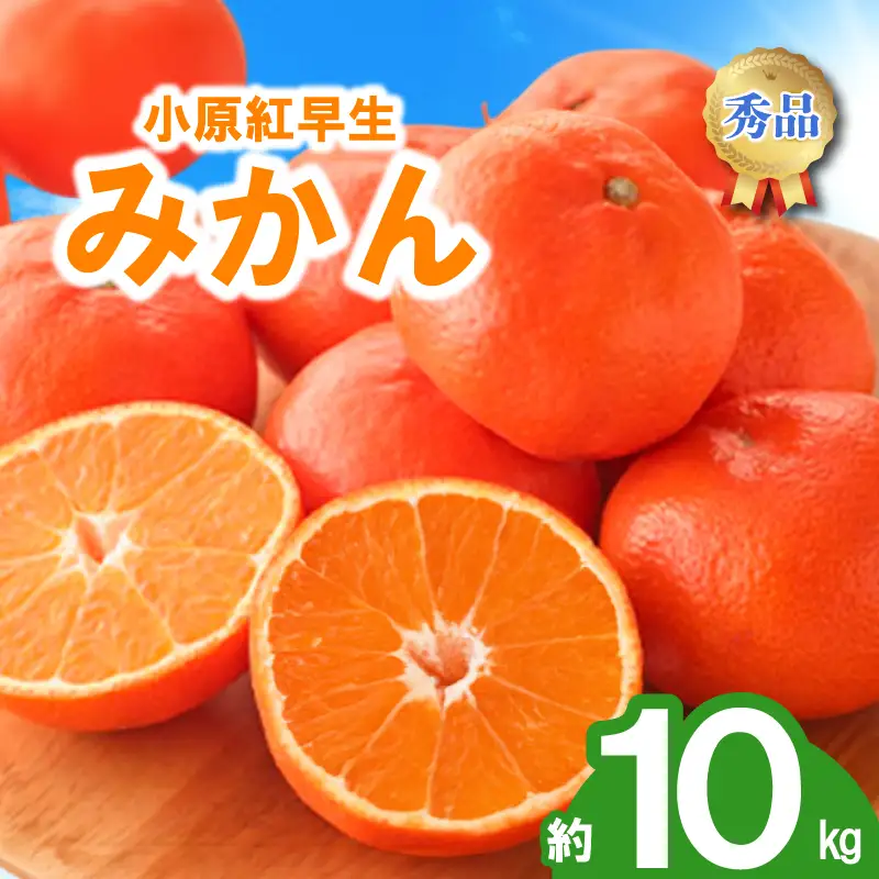 先行予約 みかん 蜜柑 約10kg 小原紅早生 小原紅早生みかん 柑橘 オレンジ 11月下旬～12月下旬 配送 選べる 容量 香川県 丸亀市