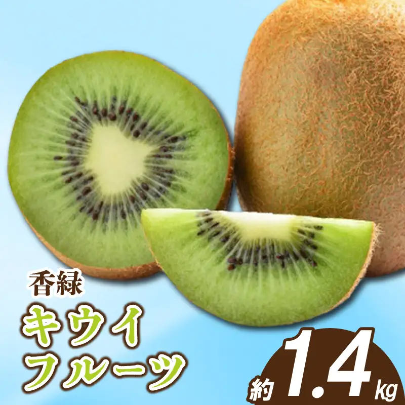 先行予約 キウイ 香緑 約1.4kg キウイ 配送：11月下旬～1月中旬