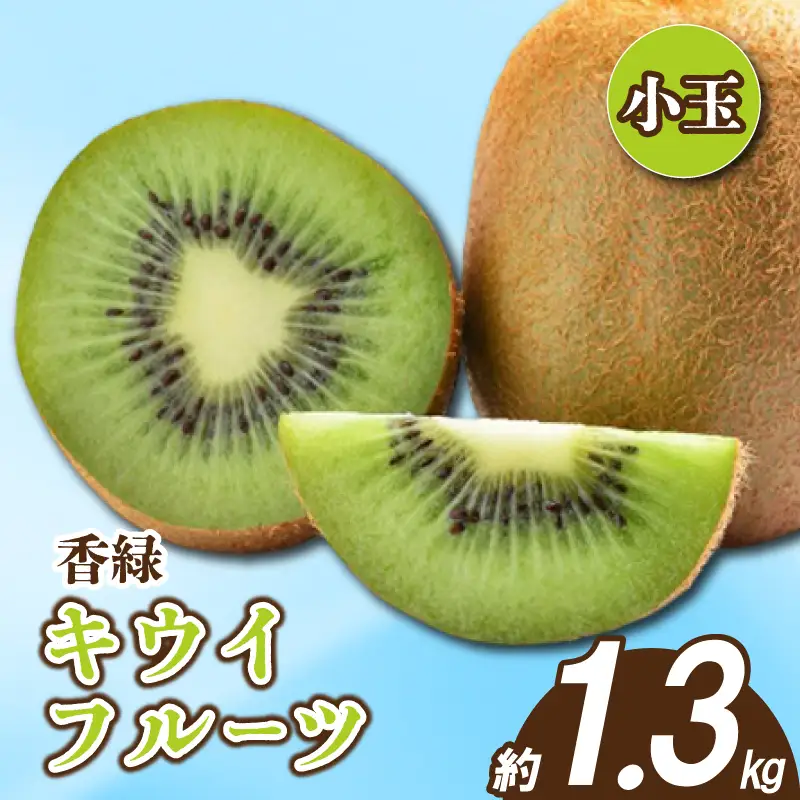 先行予約 キウイ 香緑 約1.3kg キウイ 配送：11月下旬～1月中旬