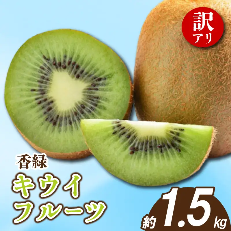 先行予約 訳あり キウイ 香緑 約1.5kg キウイ 配送：12月～1月下旬 