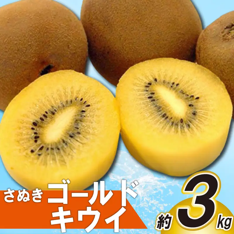 先行予約 さぬきゴールドキウイ 約3kg キウイ キウイ
