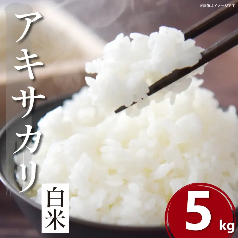 令和8年産 米 白米 5kg アキサカリ