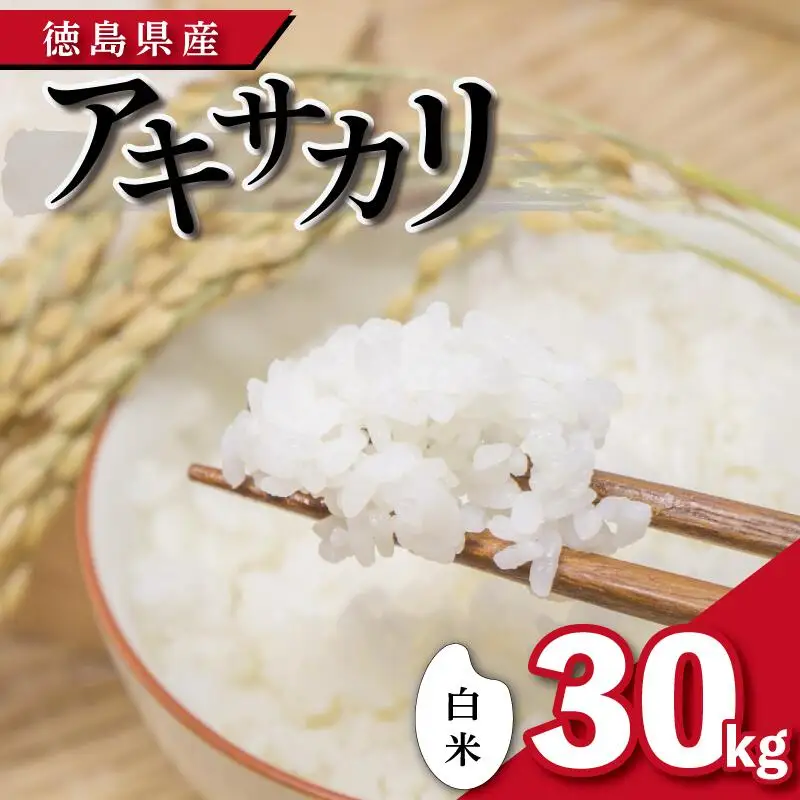米 白米 30kg アキサカリ 令和8年度産 米 米 米
