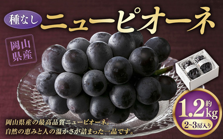 ニューピオーネ 1.2kg （2～3房） 【2026年8月下旬-9月下旬発送予定】 ／ ぶどう 葡萄 果物 果実 フルーツ 種なし 大粒 甘味 岡山県 美咲町 冷蔵