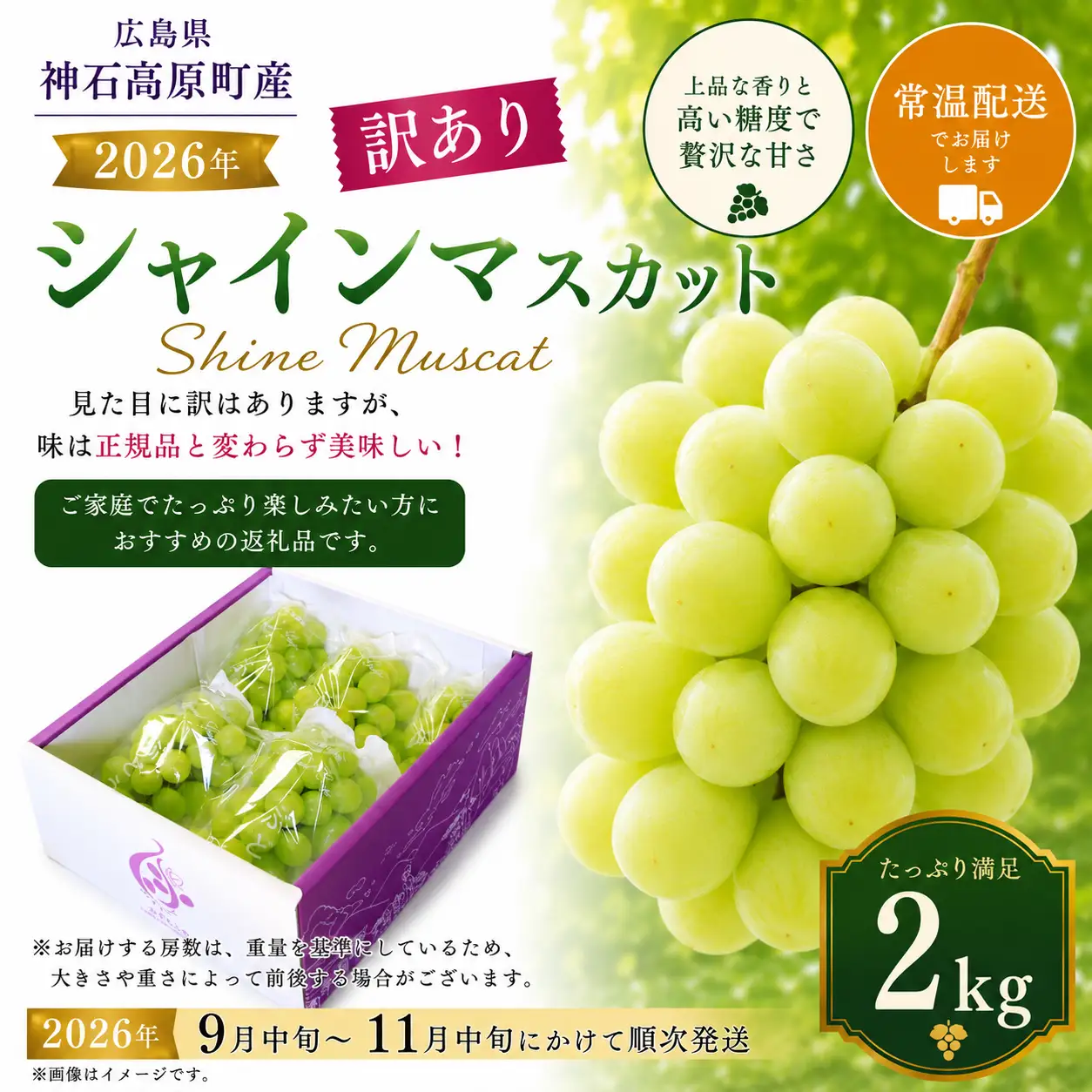 【2026年先行予約】シャインマスカット 約2kg 訳あり 家庭用 大粒 高糖度 種なし ぶどう 葡萄 広島県 神石高原町産