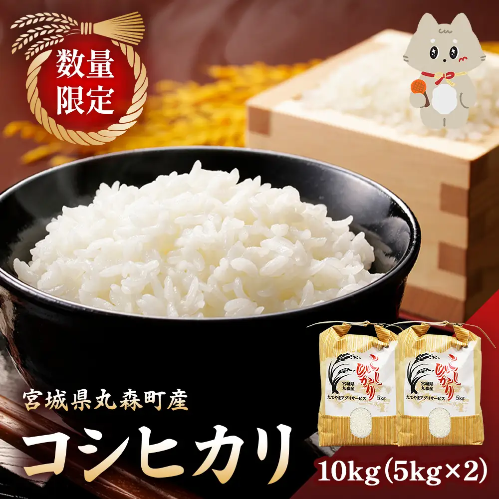＜数量限定＞宮城県丸森町産 コシヒカリ 10kg(5kg×2)【1110101】