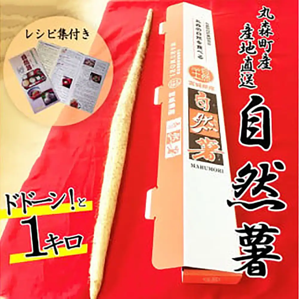【先行予約】丸森町産 自然薯1kg 専用化粧箱入り レシピ集付き【12103】