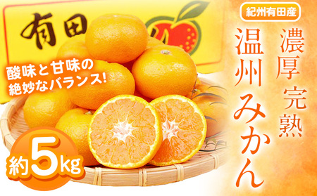 みかん 濃厚完熟温州みかん 約5kg