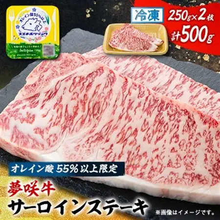 夢咲牛 オレイン酸55%以上限定のサーロインステーキ　250×2枚　ブランド牛_夢咲牛 サーロイン ステーキ_【配送不可地域：離島】【1637202】