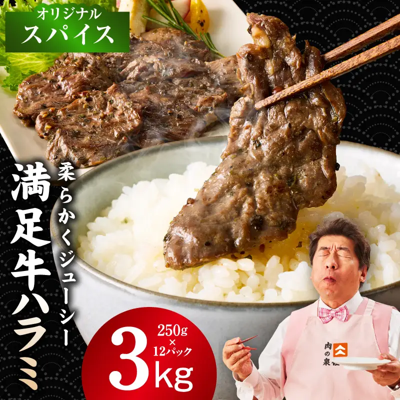 【満足牛ハラミ】オリジナルスパイス仕込み 合計3kg 