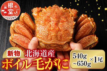 ボイル毛がに540～650g×1尾 B-11120