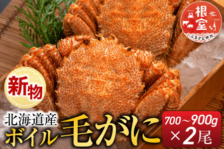 根室海鮮市場＜直送＞ボイル毛がに700～900g×2尾 D-28055