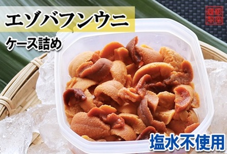 エゾバフンウニケース詰め(赤系)約60～70g×1P[10月中旬以降発送] G-71005