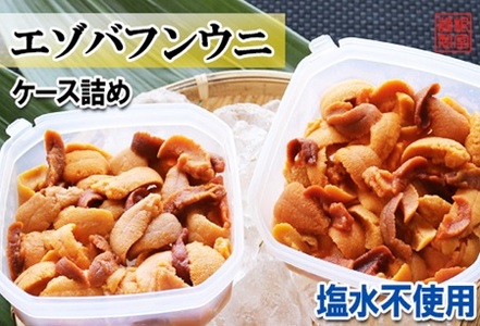 エゾバフンウニケース詰め(赤系)約100～110g×2P[11月上旬以降発送] B-71027