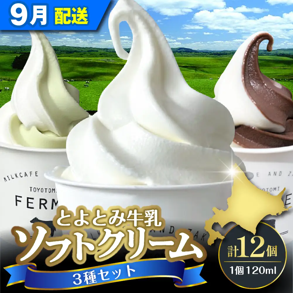 【9月配送】とよとみ牛乳ソフトクリーム 3種類 12個 ソフトクリーム