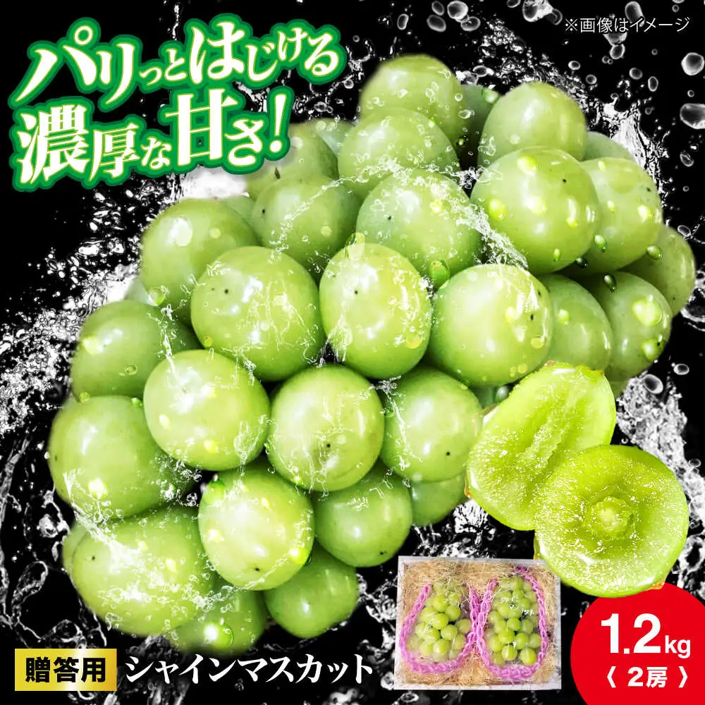 シャインマスカット 約1.2kg [APCR003] シャインマスカット