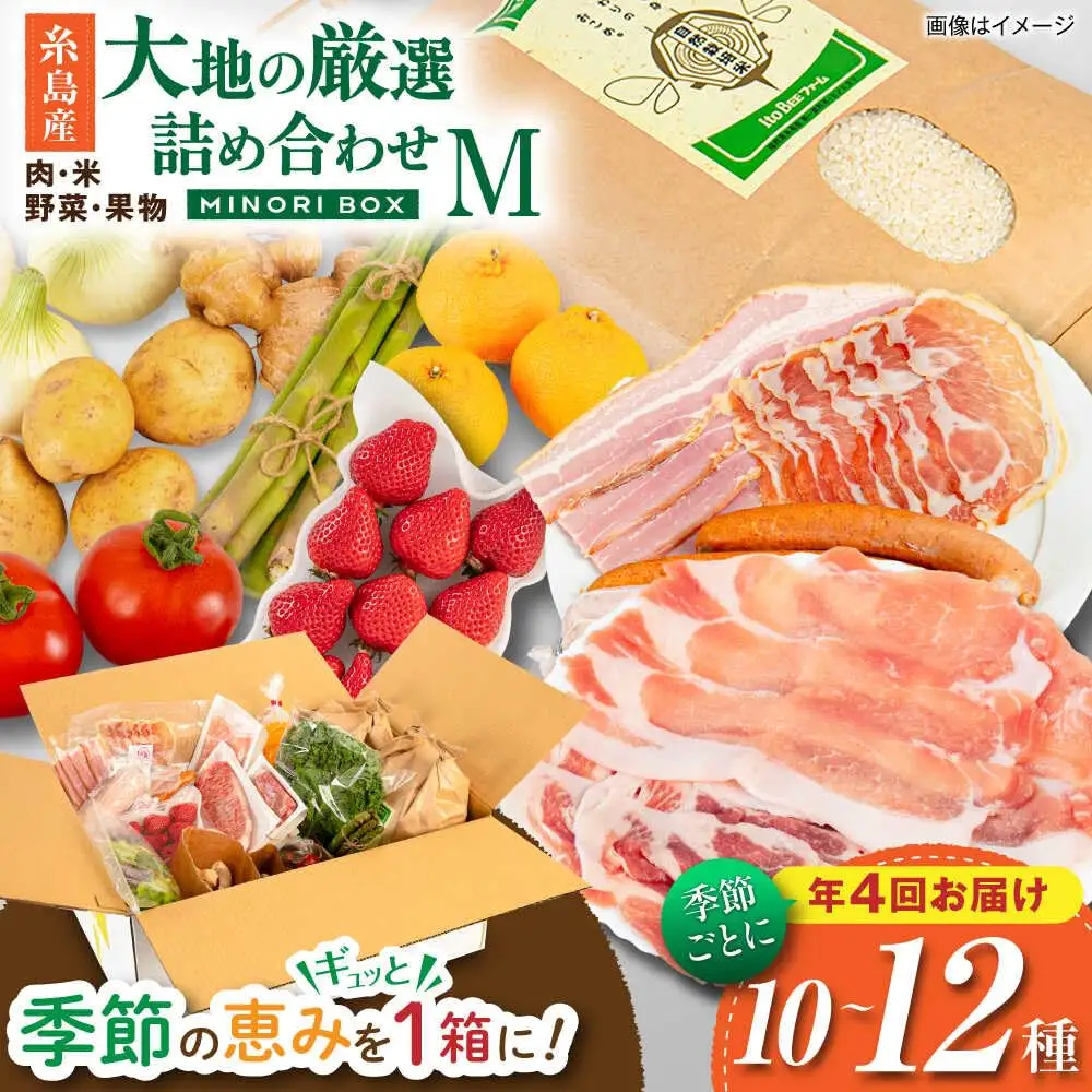 【全4回定期便】糸島産 肉 米 野菜 果物 厳選詰め合わせ MINORI BOX Mサイズ【季節ごとに年4回お届け】 糸島市 / emma.Inc / 米 肉 野菜 果物 詰め合わせ [AOP002]