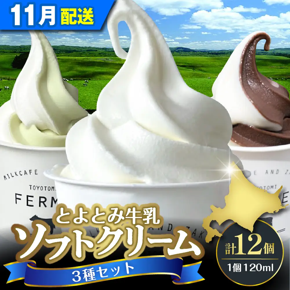 【11月配送】とよとみ牛乳ソフトクリーム 3種類12個 ソフトクリーム
