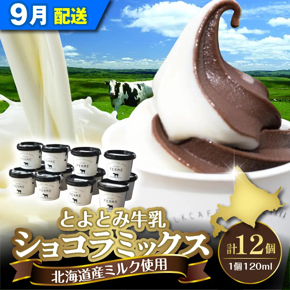 【9月配送】とよとみ牛乳ソフトクリーム ショコラミックス 12個