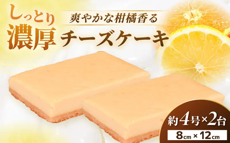 【202７年2月発送】濃厚！スイーツ チーズケーキ 2個セット【デザート 洋菓子  クッキー 冷凍】 [e44-a014_02]